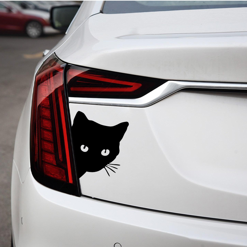 Car interior stickers black/wh - Laser Controller Board recension och pris